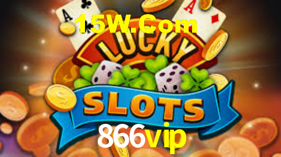 866vip.com