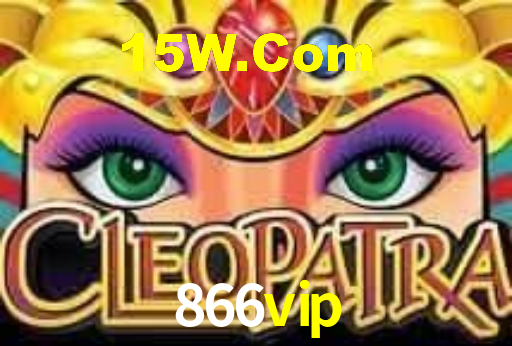 866vip.com