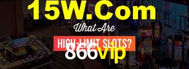 866vip.com